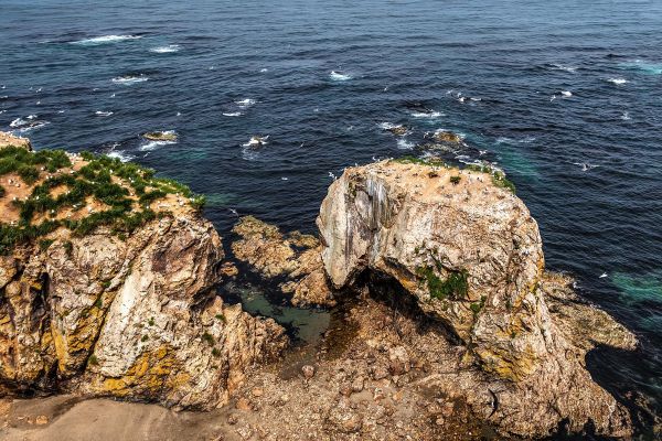 Экскурсия на мысы Птичий и Великан из Южно-Сахалинска