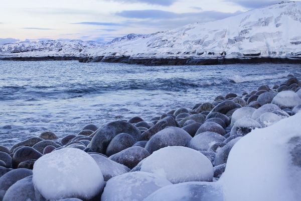 Зимний тур в Мурманск, Териберку и Хибины на 4 дня
